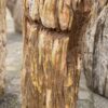 Lápida madera petrificada 52040