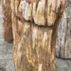Lápida madera petrificada 52040