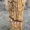 Lápida madera petrificada 52040