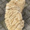 Lápida madera petrificada 52041