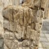 Lápida madera petrificada 52041