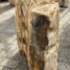 Lápida madera petrificada 52041