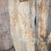 Lápida madera petrificada 52072