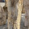 Lápida madera petrificada 52072