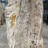 Lápida madera petrificada 52160