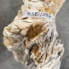Lápida madera petrificada 52160