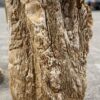 Lápida madera petrificada 52160