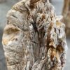Lápida madera petrificada 52160