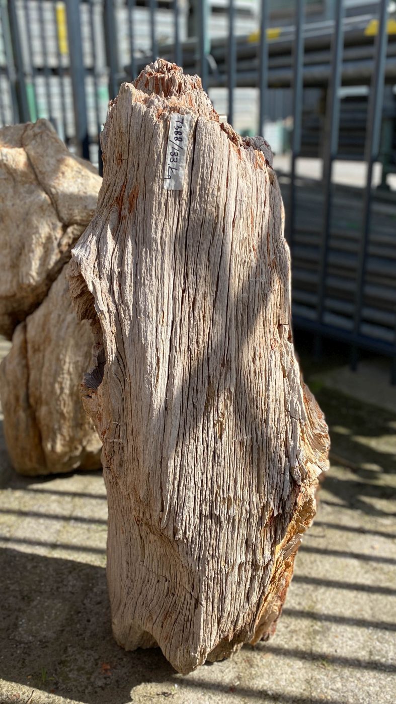 Lápida madera petrificada 52163