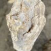 Lápida madera petrificada 52164