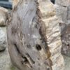 Lápida madera petrificada 52179