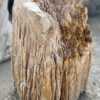 Lápida madera petrificada 52348