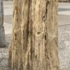 Lápida madera petrificada 53079