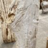 Lápida madera petrificada 53083
