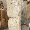Lápida madera petrificada 53083