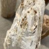 Lápida madera petrificada 53083