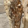Lápida madera petrificada 53084