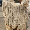 Lápida madera petrificada 53098