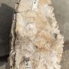 Lápida madera petrificada 53098