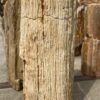 Lápida madera petrificada 53099