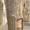 Lápida madera petrificada 53099