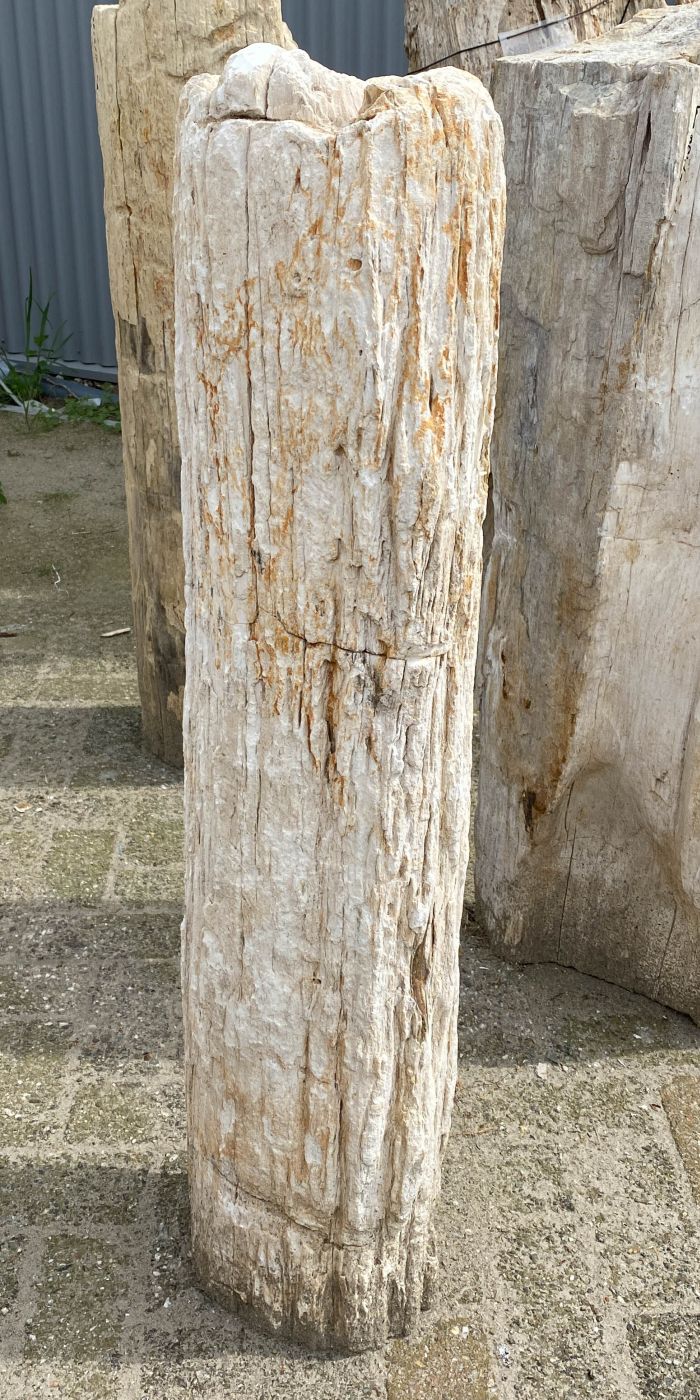 Lápida madera petrificada 53106