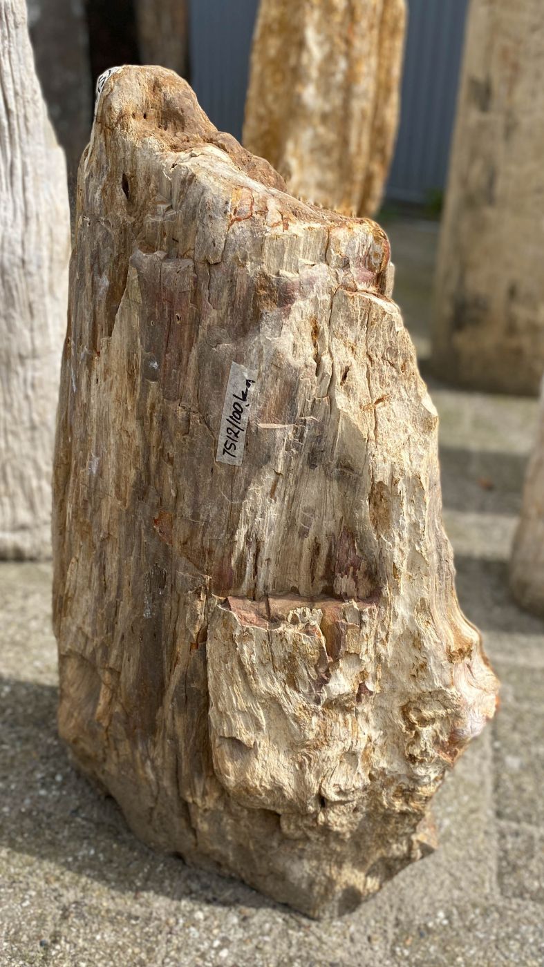 Lápida madera petrificada 53113