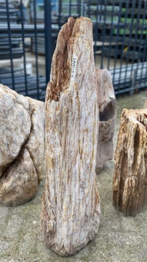 Memorial stone petrified wood 52026