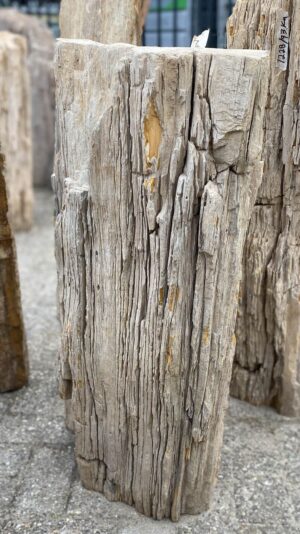 Memorial stone petrified wood 52043