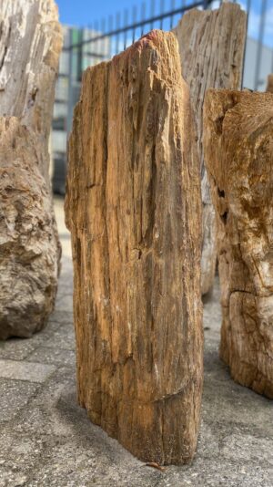 Memorial stone petrified wood 52048