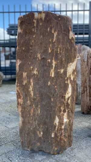 Memorial stone petrified wood 52054