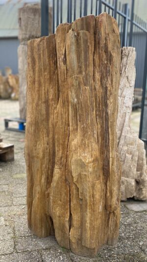 Memorial stone petrified wood 52056