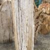 Memorial stone petrified wood 52068