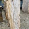 Memorial stone petrified wood 52068