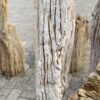 Memorial stone petrified wood 52068