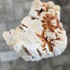 Memorial stone petrified wood 52068