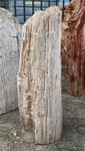 Memorial stone petrified wood 52076