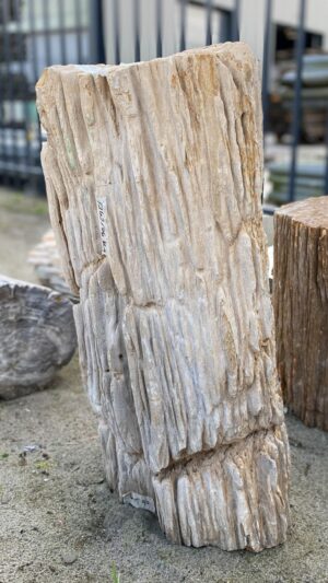 Memorial stone petrified wood 52107