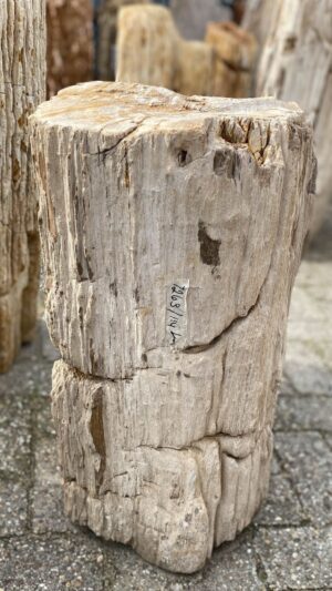Memorial stone petrified wood 52108