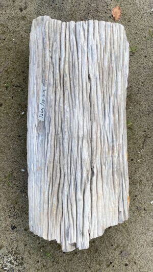 Memorial stone petrified wood 52109