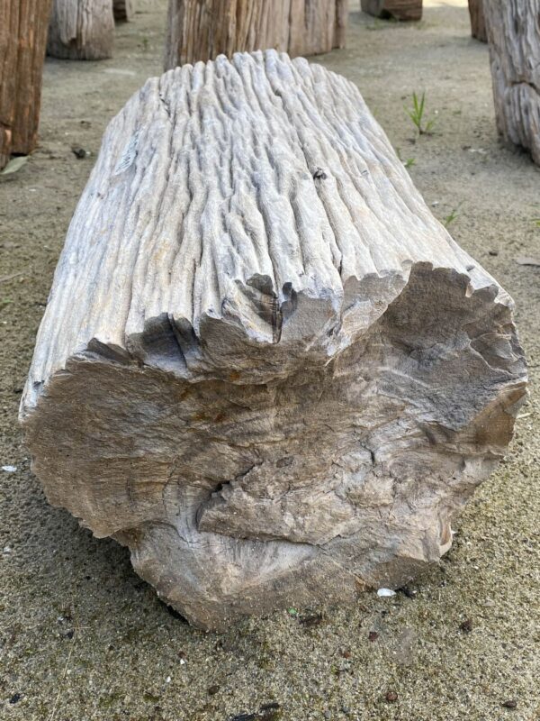 Memorial stone petrified wood 52109