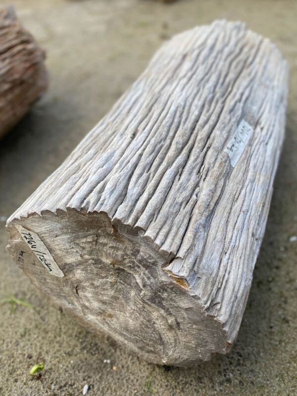 Memorial stone petrified wood 52109