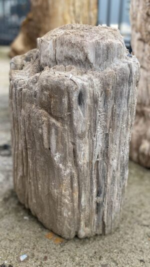 Memorial stone petrified wood 52110