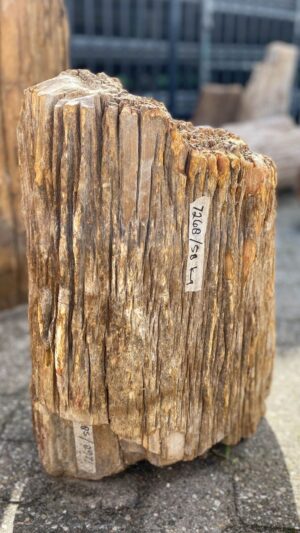 Memorial stone petrified wood 52112