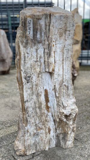 Memorial stone petrified wood 52135