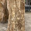 Memorial stone petrified wood 52156