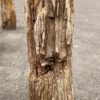 Memorial stone petrified wood 52156