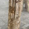 Memorial stone petrified wood 52156