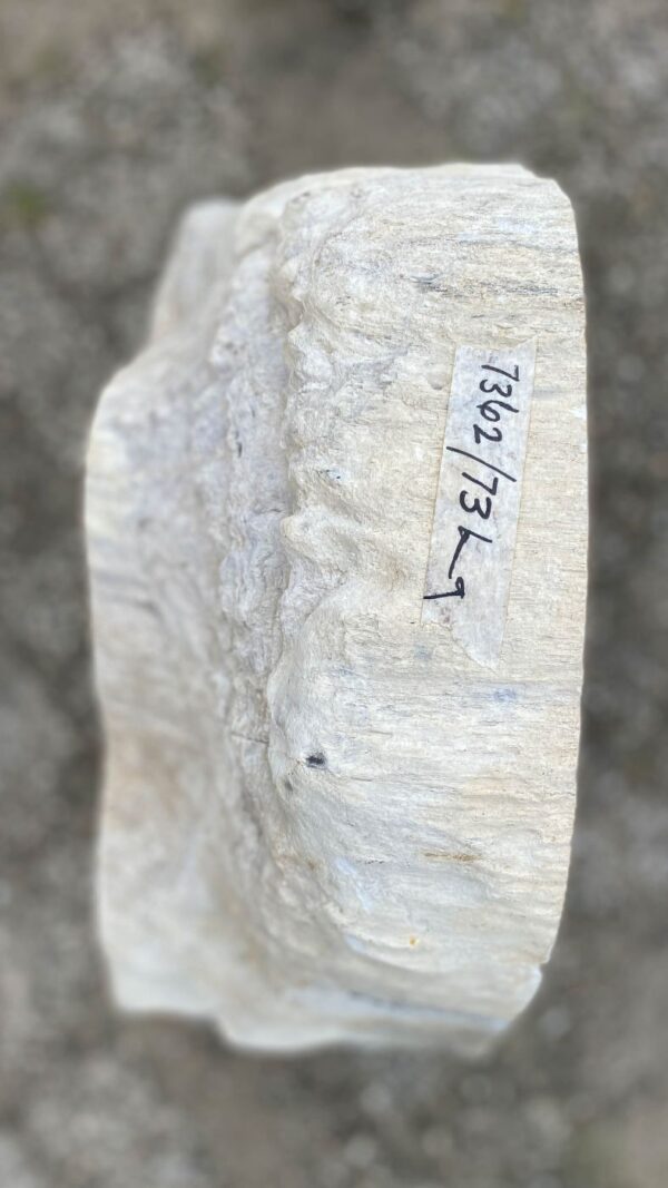 Memorial stone petrified wood 52158