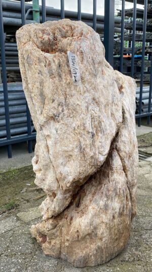 Memorial stone petrified wood 52159